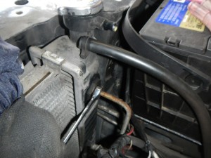 DSCN7345